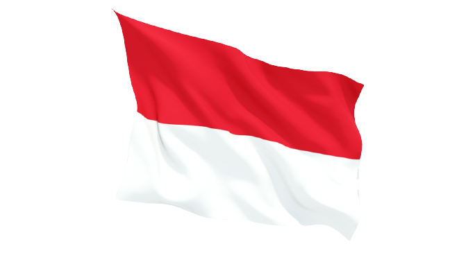 4697492-flag-of-indonesia-flag-of-indonesia-clip-art-flag-png-download-flag-of-indonesia-png-900_480-removebg-preview-2.png